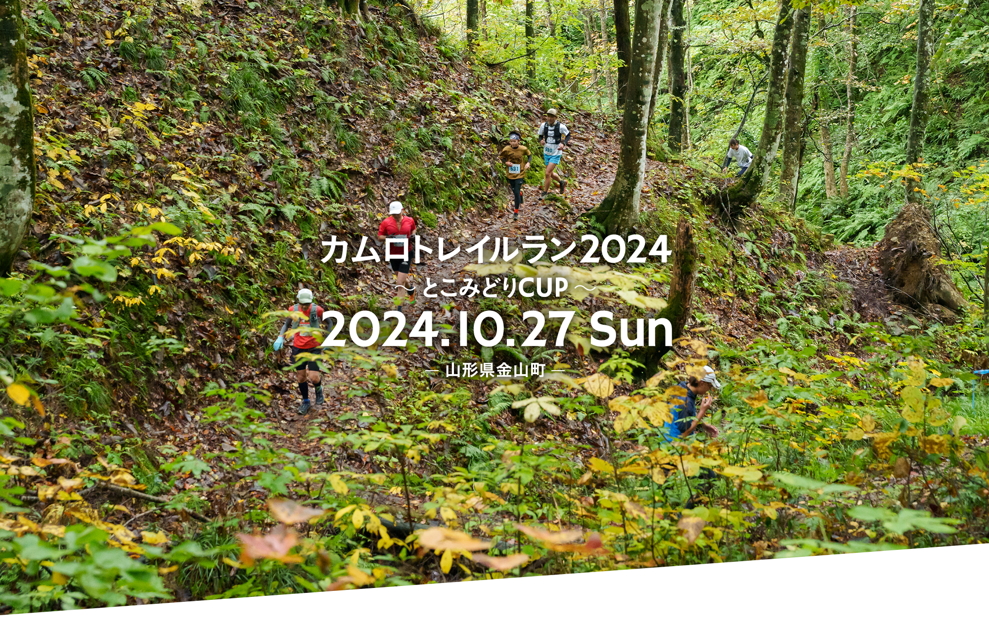 KAUMURO Trail running 2024 See you soon！ カムロトレイルラン in ⼭形県⾦⼭町